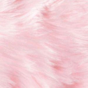 Meet your Posher, Amaris